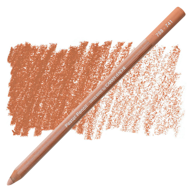 CARAN DACHE PASTEL PENCIL WARM EARTH 5% (788.741)