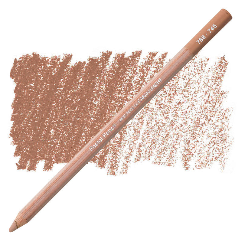 CARAN DACHE PASTEL PENCIL WARM EARTH 40% (788.745)