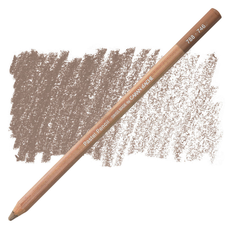 CARAN DACHE PASTEL PENCIL WARM EARTH 50% (788.746)