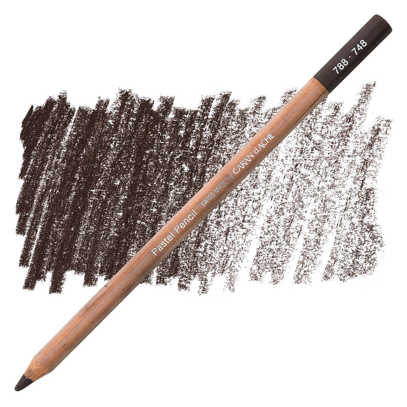 CARAN DACHE PASTEL PENCIL WARM EARTH 70% (788.748)