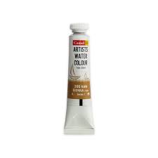 CAMLIN ARTIST OIL COLOUR 20 ML SR 1 RAW SIENNA (111366)