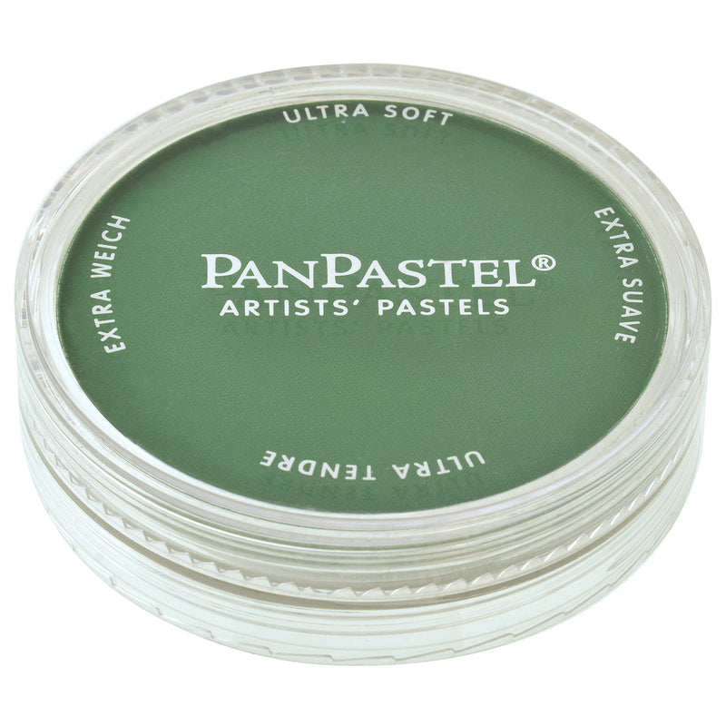 PANPASTEL ULTRA SOFT COLOUR PERMANENT GREEN SHADE