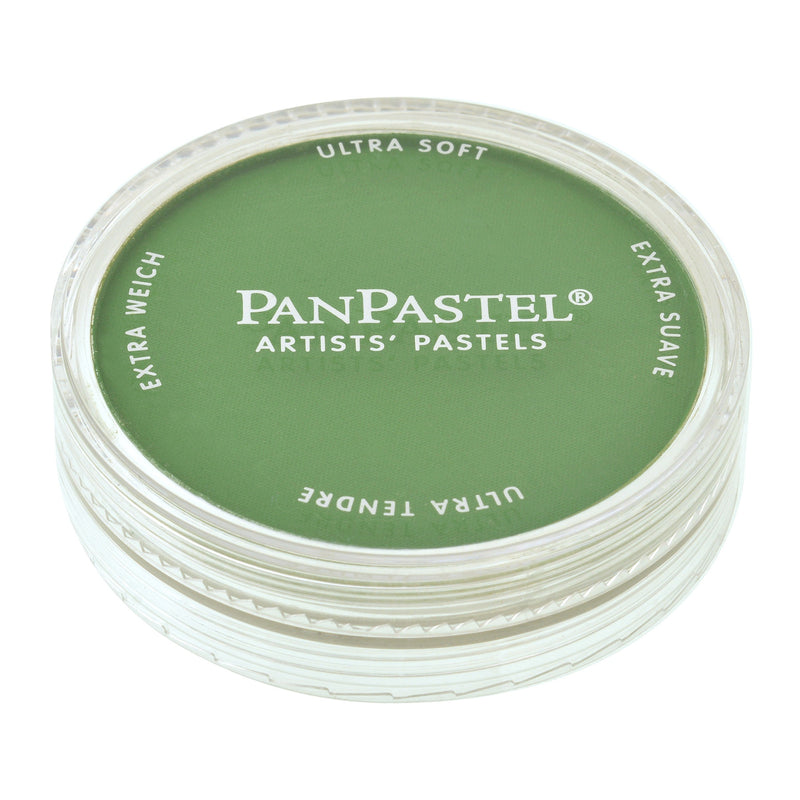 PANPASTEL ULTRA SOFT COLOUR CHROMIUM OXIDE GREEN