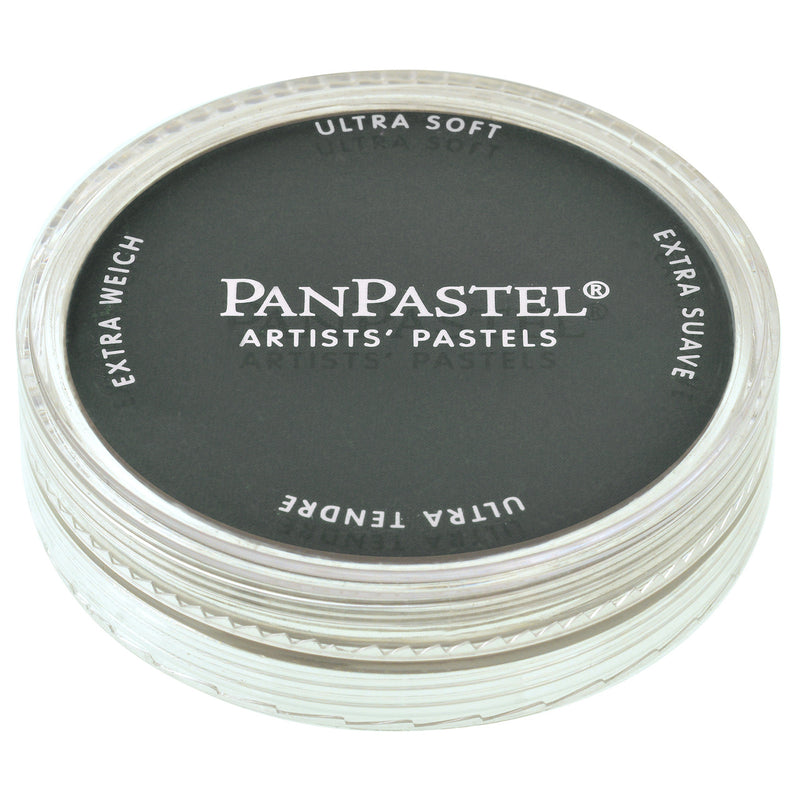 PANPASTEL ULTRA SOFT COLOUR NEUTRAL GREY EXTRA DARK 1