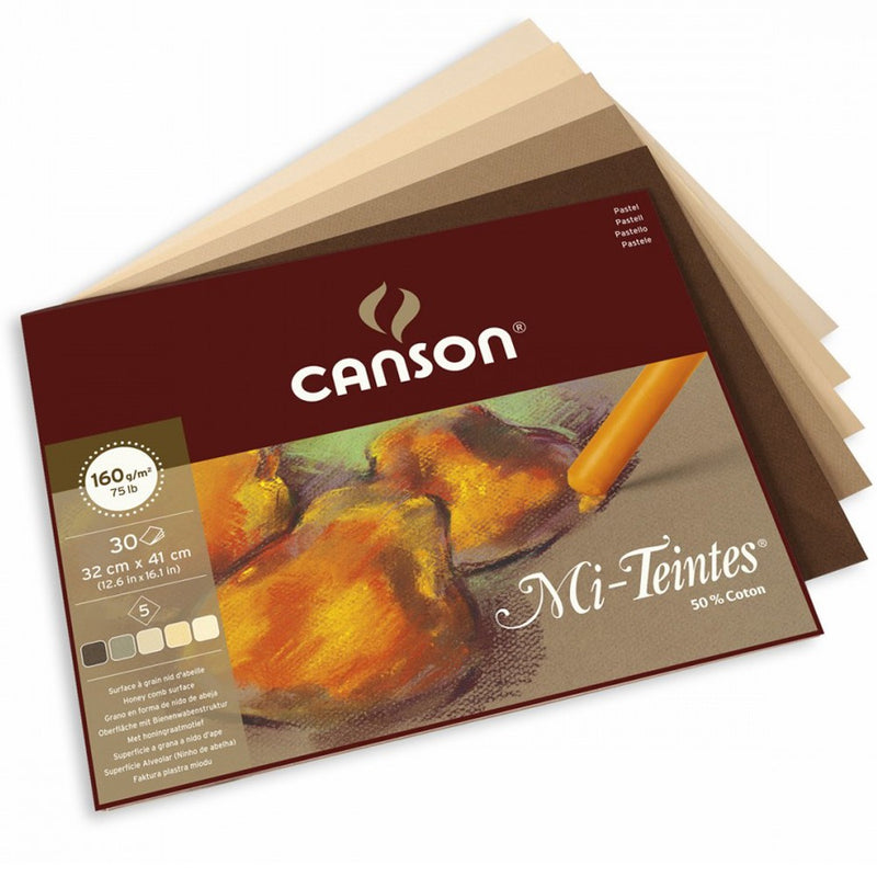 CANSON MI-TEINTES PAD 1SG EARTH TONES 30 SHEETS 160 GSM 32 x 41 CM (400030146)