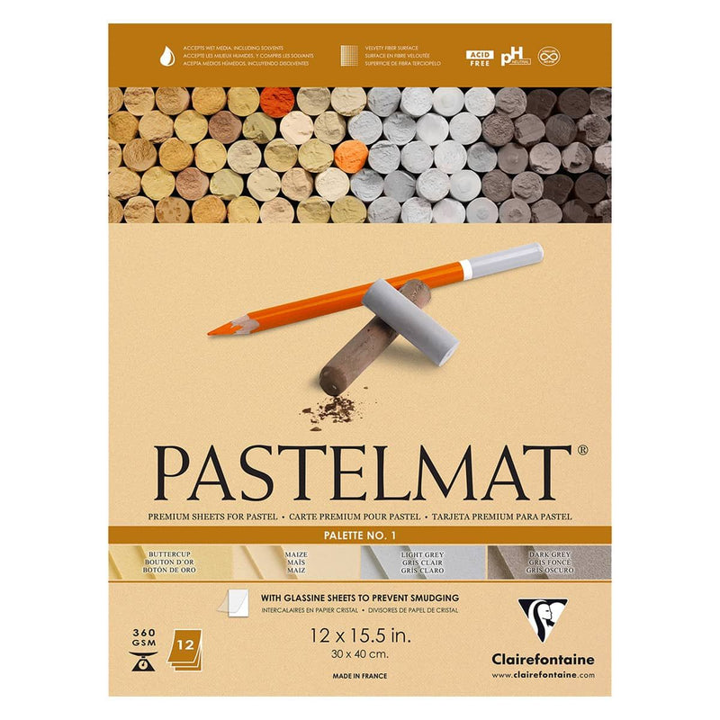 CLAIREFONTAINE PASTELMAT NO 1 360 GSM 12 SHEETS 4 CLRS 12 X 15.5 (96018C)