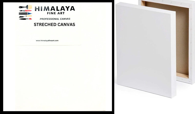 HIMALAYA PROFESSIONAL STRETCHED CANVAS 12" X 12"