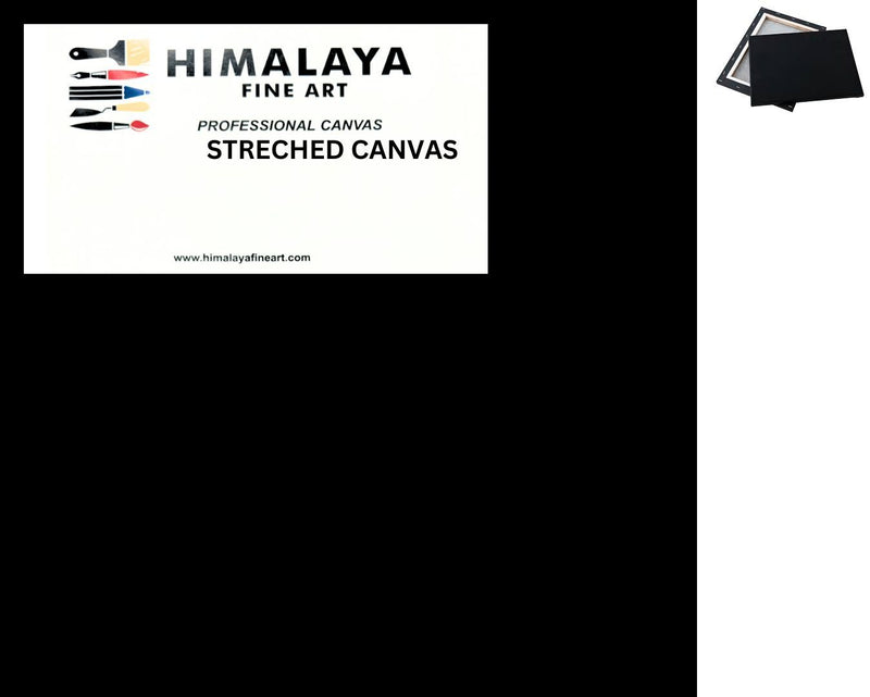 HIMALAYA STRETCHED CANVAS BLACK 24" X 24"
